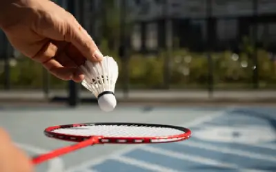 Badminton Court